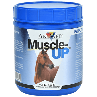 MUSCLE UP POWDER 2.5LB