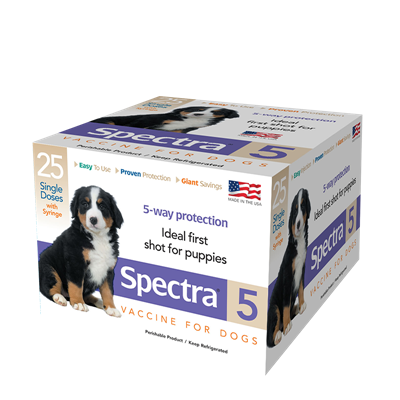 CANINE SPECTRA 5  25x1ds TRAY