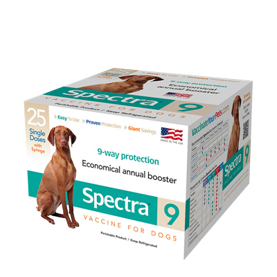 CANINE SPECTRA 9   1ds w/Syringe