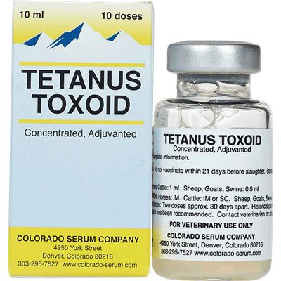 TETANUS TOXOID 10 DOSE   10mL