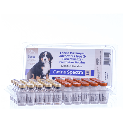 CANINE SPECTRA 5  25x1ds TRAY