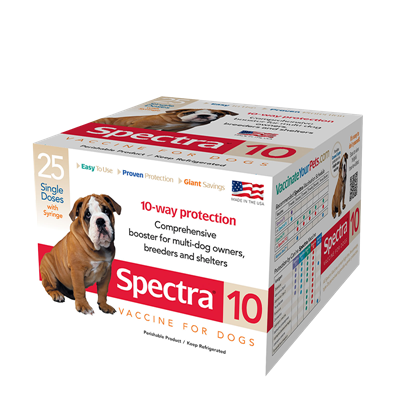 CANINE SPECTRA 10   1ds w/Syringe