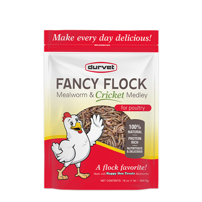 FANCY FLOCK MEALWORM AND CRICKET 16oz