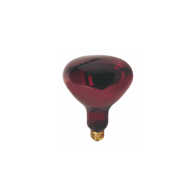 HEAT LAMP BULB 250wt RED GLASS