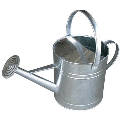 GALVANIZED WATERING CAN 10qt