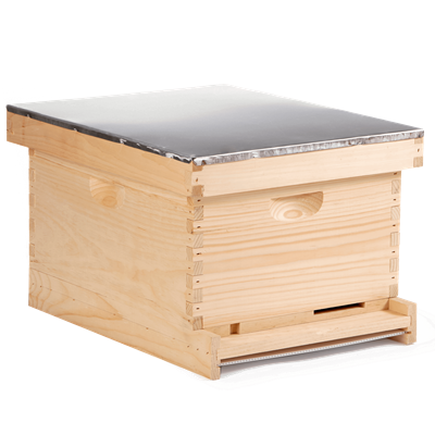 COMPLETE HIVE 10 FRAME