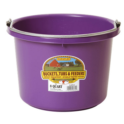 Bucket Plastic 8qt Purple
