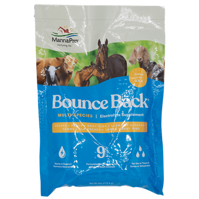 BOUNCE BACK 4oz PACKET