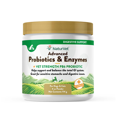 ADVANCED PROBIOTIC/ENZYMES PWDR 4oz