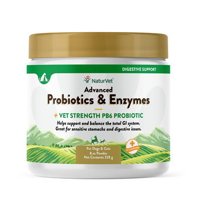 ADVANCED PROBIOTIC/ENZYMES PWDR 8oz