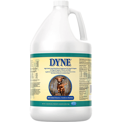 DYNE HIGH CALORIE LIQUID FOR DOGS 1gal