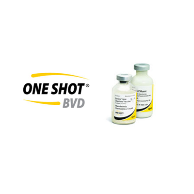 ONE SHOT BVD 10ds