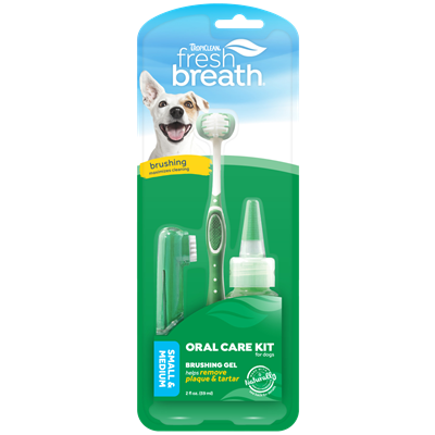 ORAL CARE KIT (SMALL)