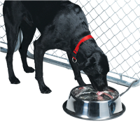 HEATED PET BOWL STAINLESS 5 qt