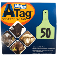 ATAG CALF 26-50 GREEN